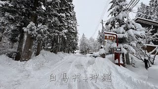 2024日本長野白馬村滑雪+沖繩自由行