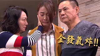 必勝大丈夫｜EP31 天虹催淚坦承外遇！金發暴怒找德生算帳 My Hero, My Daddy｜Vidol.tv