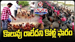 Friends Turn Entrepreneurs with Successful Natu Kodi Farming Initiative In Narsapur | V6 Teenmaar