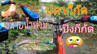 ปั่นจักรยาน 40 กว่ากิโลเมตรเพื่อไปตกปลาช่อน