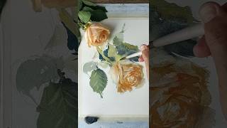Yellow ROSE. Flower painting #rosepainting