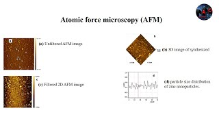 Atomic force microscopy (AFM )