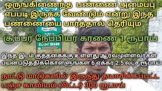 பசுமை பண்ணை | AGRICULTURE LAND FOR LEASE |  நேப்பியர் | பஞ்சகாவியம்  |  நிலம் குத்தகைக்கு