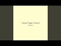 Clouds Fragile Tranquil