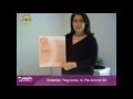 Smilefile's Pregnancy to Pre-School Kit - Aus Baby Bargains Video Review