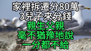 家裡拆遷分80萬，3兒子來分錢，親生父親毫不猶豫地說一分都不給【花好月圓】