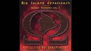 In Fla Grante Delicto - Big Island Conspiracy - Skippy, Revelation