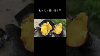 ねっとり甘い焼き芋 #キャンプ飯 #shorts