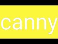 Canny Definition & Meaning