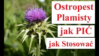 OSTROPEST PLAMISTY  - jak PIĆ jak Stosować ostropest