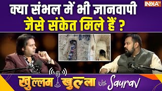 Vishnu Jain On Sambhal Survey: क्या संभल में भी ज्ञानवापी जैसे संकेत मिले हैं?