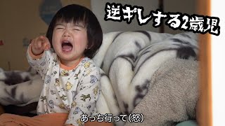 パパとの交渉決裂後、ママに助けを求めに行く2歳児