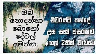 ඔබ දන්නවාද