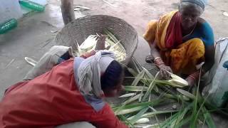 Kewra flower preparation for making kewra attar