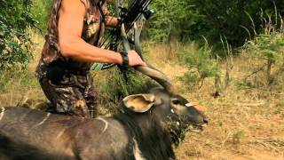 Jim Shockeys Hunting Adventures - Nyala in South Africa with a Bowtech