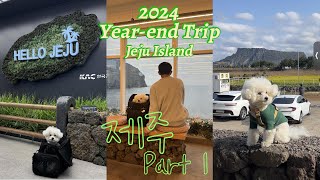 [ENG SUB] 애견동반 제주 연말여행 | 플레이스 캠프 제주 | Jeju Year-end Trip with pet | Place Camp Jeju | 濟州跨年寵物旅行