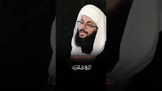 السيد المرجع الشيرازي للشيخ الحبيب: لا لليأس.. لا للتحير.. نعم للمشكلات!