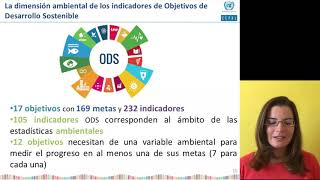 5.1 La Agenda 2030 y su demanda por Indicadores Ambientales.