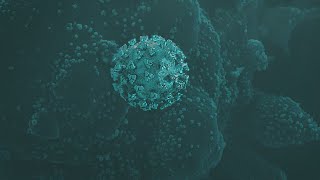 Breaking down the genetic code of COVID-19