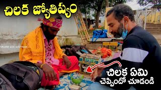 చిలక జ్యోతిష్యం