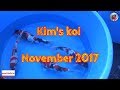 Kim's Koi November 2017