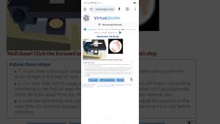 Microscope tutorial to virtual urchin