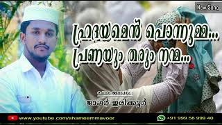 Hrdhayamen Ponnumma Pranayam Tharum Nanma | Jafar Irikkoor | Heart Touching Song About Umma Latest