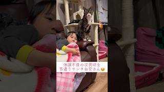 【見守り猫】体調崩した次男坊に寄り添うサンタお兄さん😽13歳♂