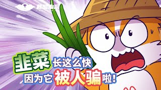 【小魔】韭菜长这么快，都是因为它被人骗啦！