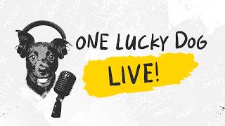 Call Skew, Tom's Trades of the Week & AI Gets Booed | 5.26 | One Lucky Dog LIVE!