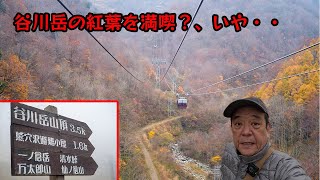 ロープウエイ最高！大迫力の谷川岳ロープウエイだが・・・