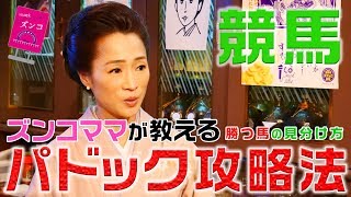 【パドック攻略法】ズンコママが教えるパドックのポイント