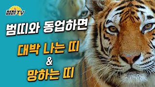 (서울점집) 범띠와 동업하면 망하는 띠, 잘되는 띠!! [점점TV]