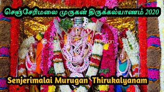 Senjerimalai Murugan Thirukalyanam | செஞ்சேரிமலை முருகன் திருக்கல்யாணம் | Senjerimalai Karthikeyan