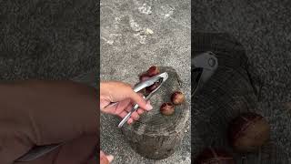 Portable chestnut shell opener- Good tools and machinery can increase work efficiency