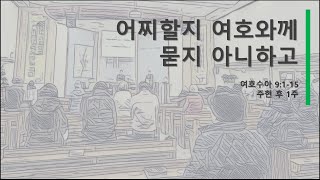 2025.1.12. I 어찌할지 여호와께 묻지 아니하고 I 권순민 목사 I 파동제일교회 주일 예배(주현 후 1주)