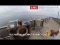 ［シロメトリック］鯖釣って泳がせで大物狙ってきました。※【竿は1人2本】