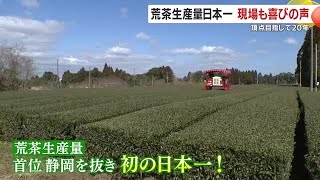 鹿児島県が荒茶生産量日本一に　頂点目指して２０年　現場でも喜びの声 (25/02/19 18:45)