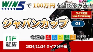 【WIN5で100万円：ライブ分析編】 2024年11月24日（日）ジャパンカップ【競馬】