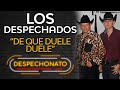 Los Despechados - De Que Duele, Duele (Letra) | Música Para Tomar