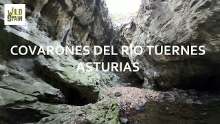 Wild Spain - Capítulo 254 - Covarones del río Tuernes, Asturias.