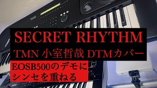 SECRET RHYTHM 小室哲哉 TMN DTMカバー曲制作中　EOSB500のデモにシンセを重ねる