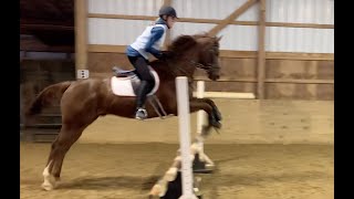 Schooling Davey over fences