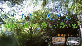 鮫川【渓流釣り】ヤマメを釣りに