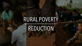 FAO Policy Series: Rural Poverty Reduction