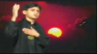 Ban Ja Tu Mera Zamin    Zeeshan Haider (2007).flv