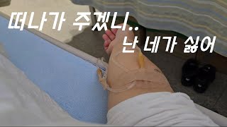 [일상 브이로그]혹독한 2025년 맞이|감기|택배깡|이세계아이돌 두찜 굿즈|장보기|