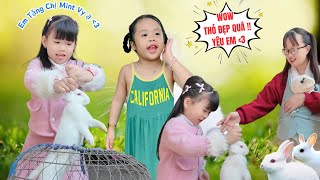 MiMi Đi Mua Thỏ Về Quê Tặng Chị Mint Vy Cùng Bố Hoàng Và Mẹ Huế, Chị Mint Vy Vui Sướng Cười Típ Mắt