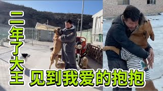 2024-12-14 Stray dog home 两年以来来自大王的拥抱，救助它这么久了时间见到我的第一时间就是爱的拥抱。