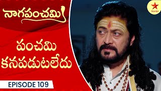 Naga Panchami - Episode 109 Highlight | Telugu Serial | StarMaa Serials | Star Maa